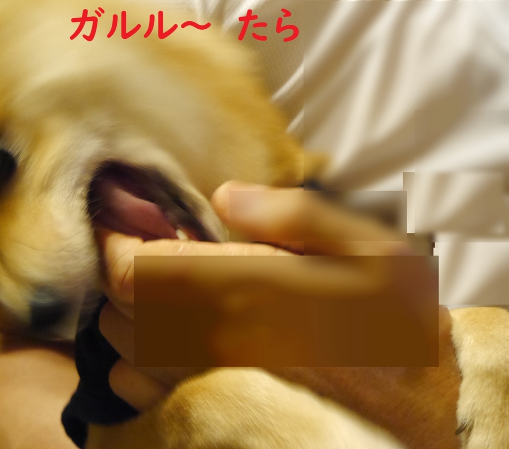 f:id:hanatara:20180815205003j:plain