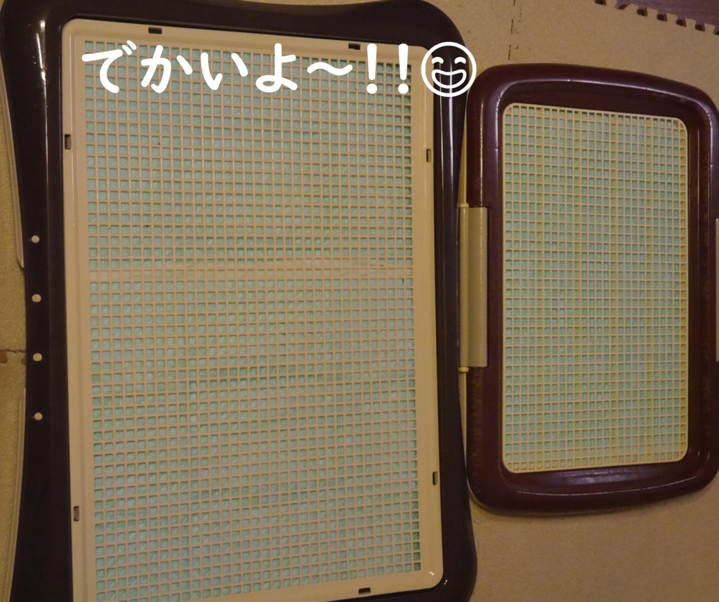 f:id:hanatara:20180816194747j:plain