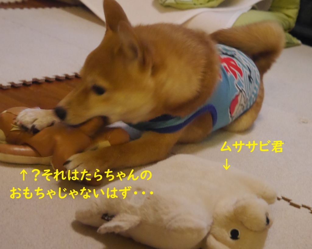 f:id:hanatara:20180817203416j:plain