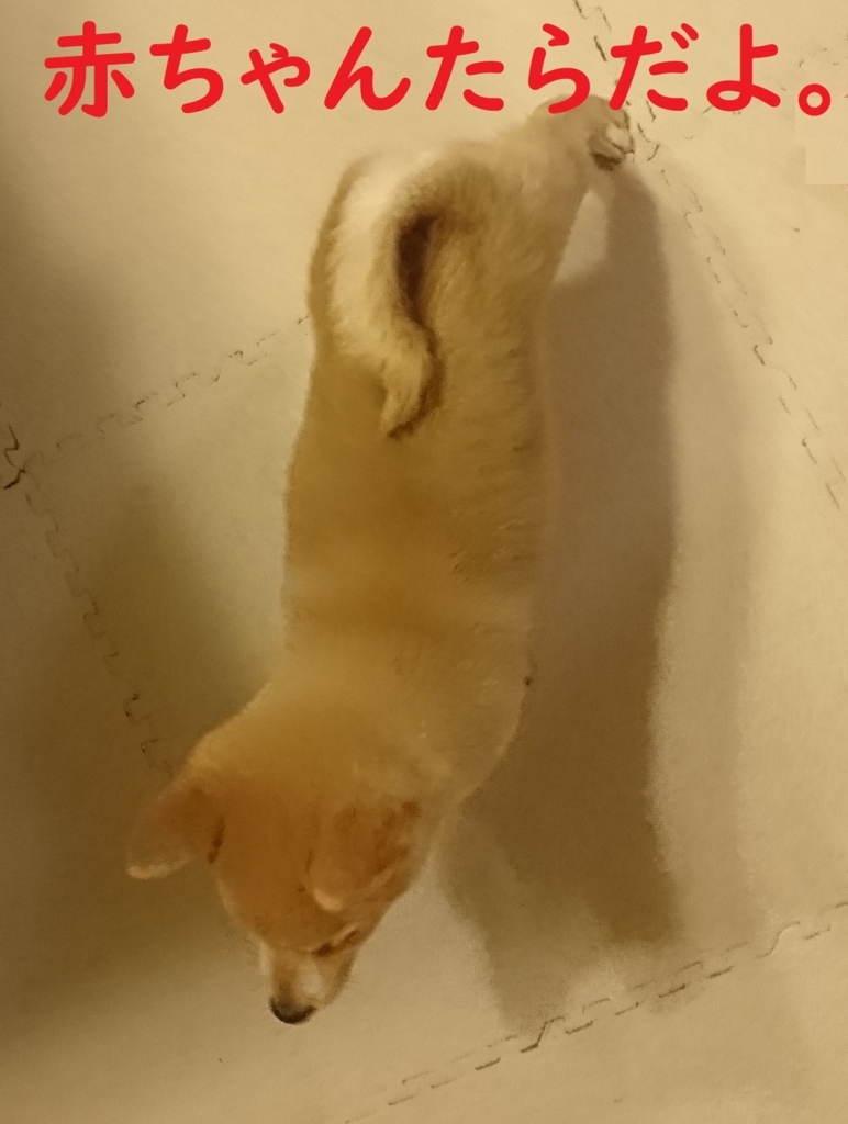 f:id:hanatara:20180817211206j:plain