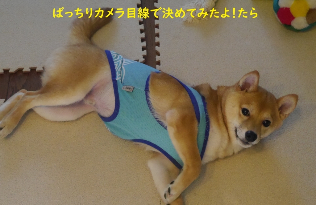 f:id:hanatara:20180818191337j:plain f:id:hanatara:20180818191337j:plain