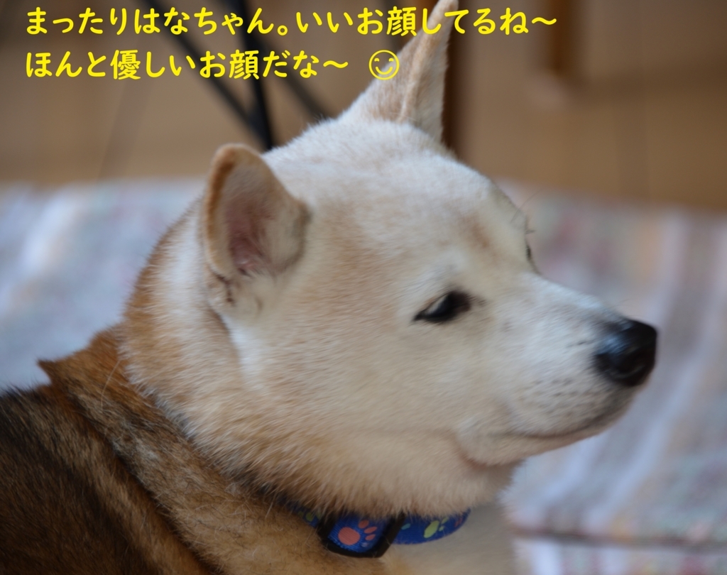 f:id:hanatara:20180818202430j:plain f:id:hanatara:20180818202430j:plain