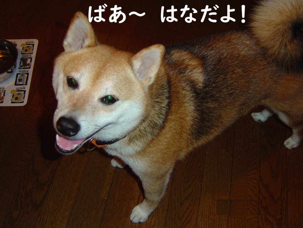 f:id:hanatara:20180822192950j:plain