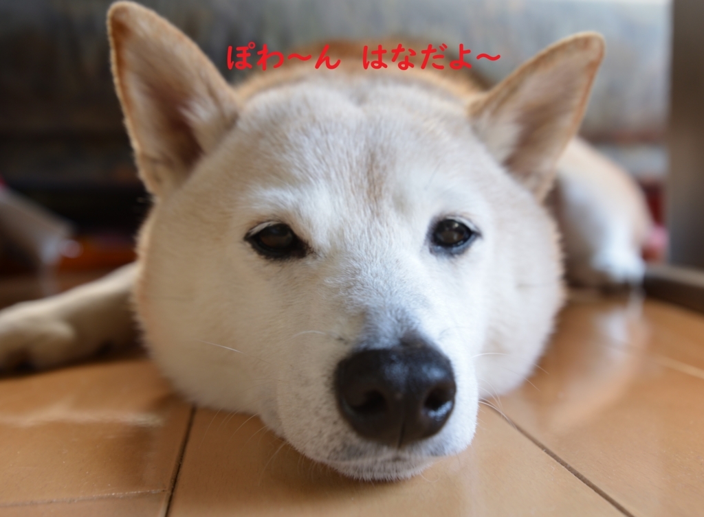 f:id:hanatara:20180822205319j:plain