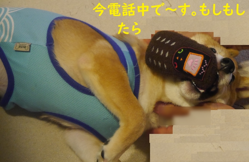 f:id:hanatara:20180823201105j:plain