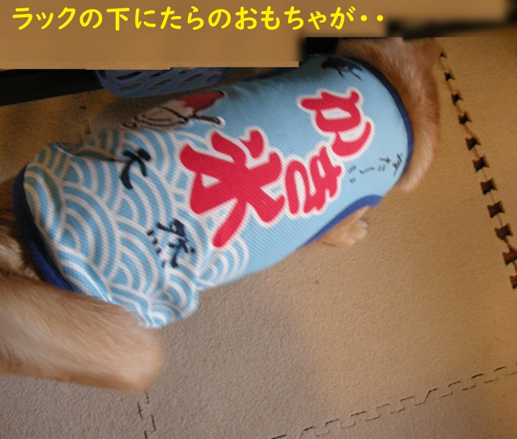 f:id:hanatara:20180823201542j:plain