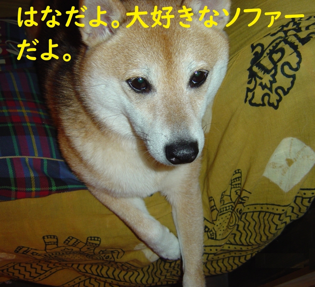 f:id:hanatara:20180823204225j:plain