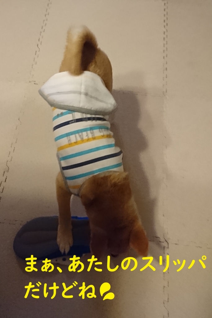 f:id:hanatara:20180823204622j:plain