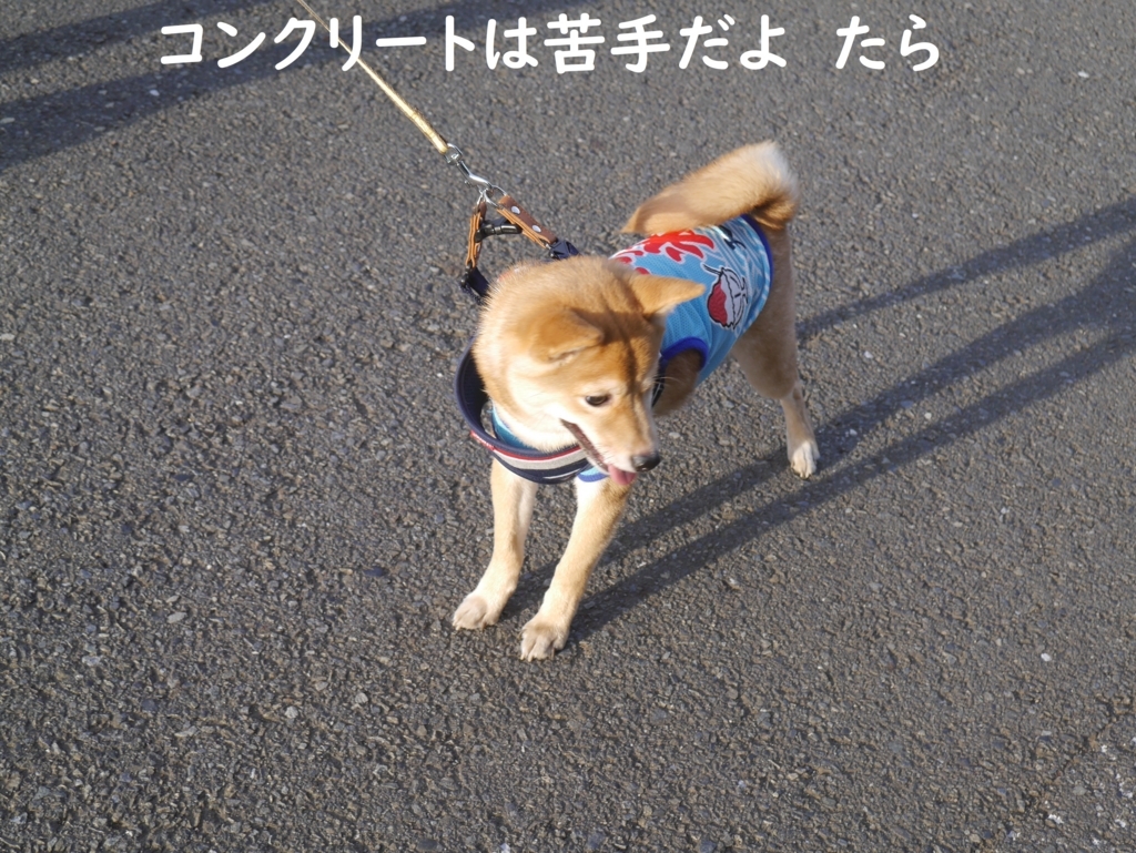 f:id:hanatara:20180824213227j:plain