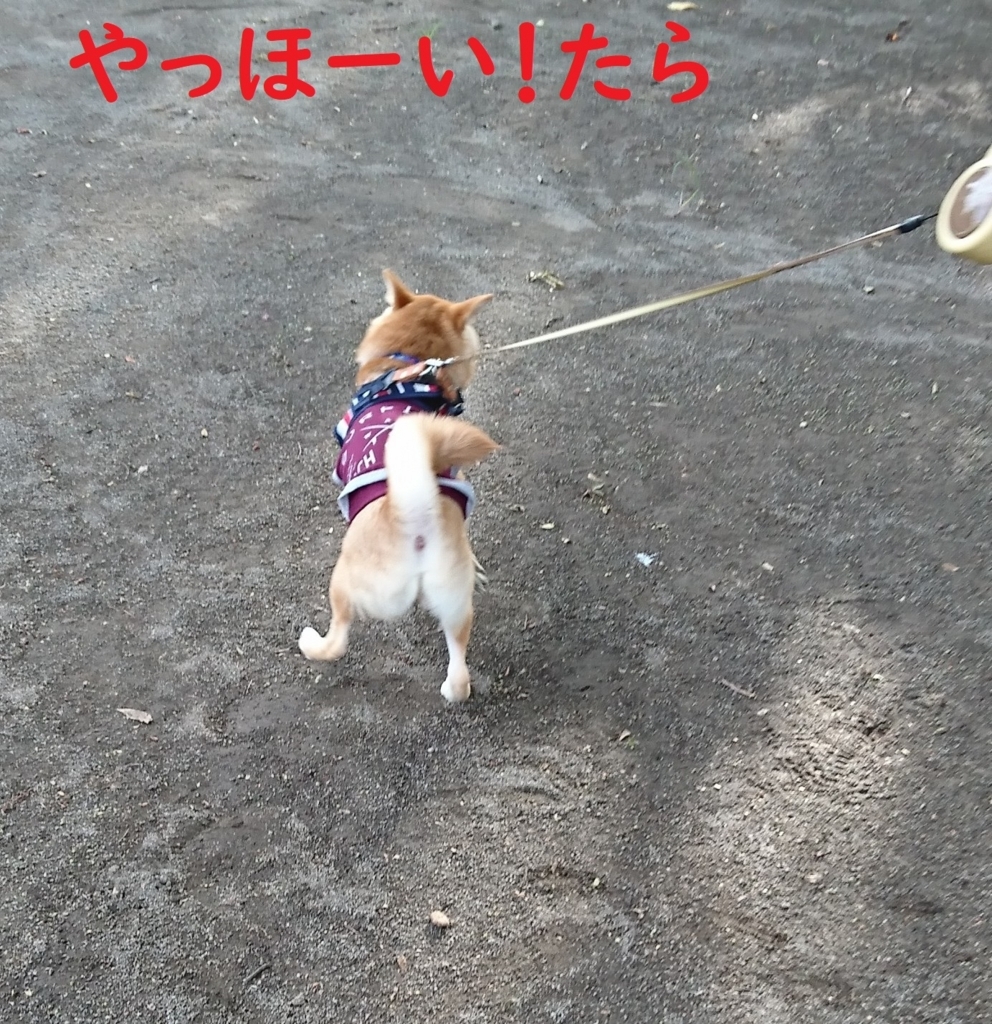 f:id:hanatara:20180826084011j:plain