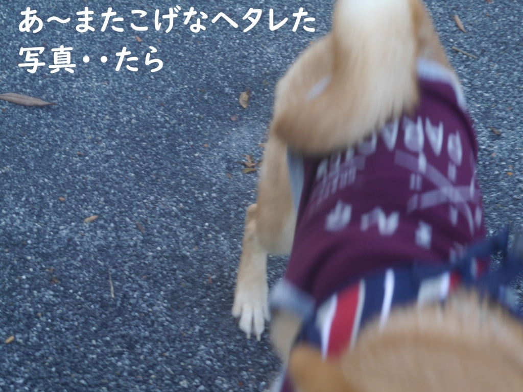 f:id:hanatara:20180826084736j:plain