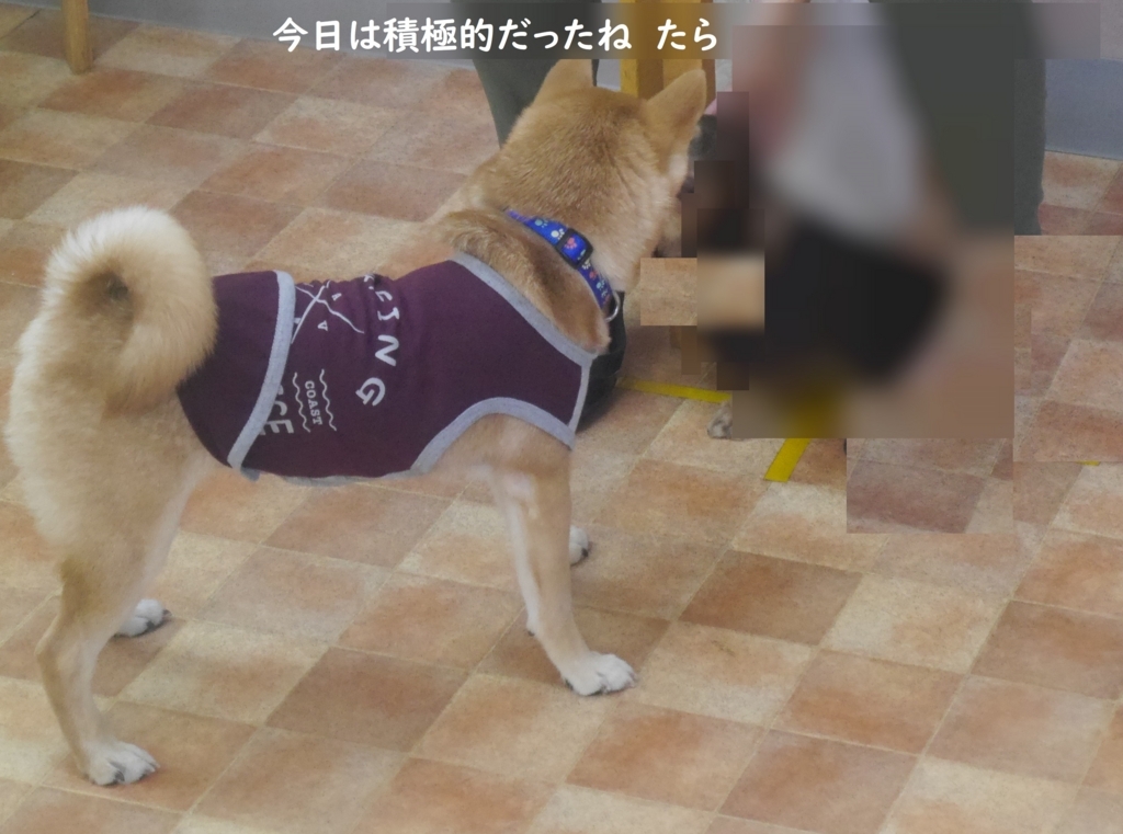 f:id:hanatara:20180826155649j:plain f:id:hanatara:20180826155649j:plain