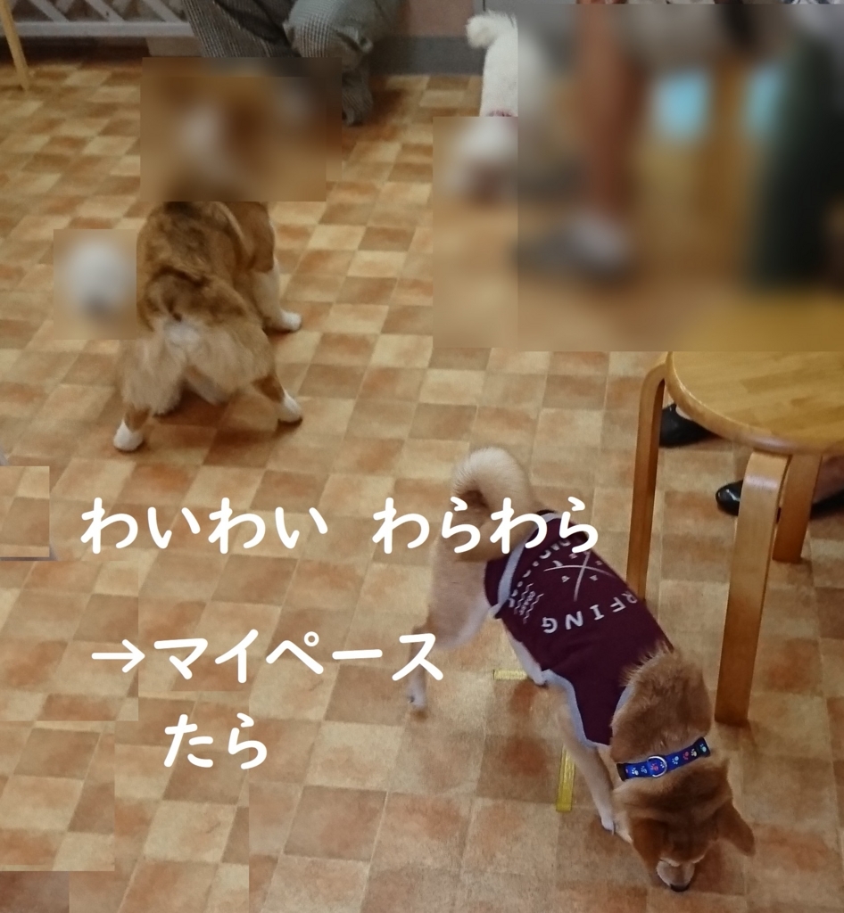 f:id:hanatara:20180826160306j:plain f:id:hanatara:20180826160306j:plain