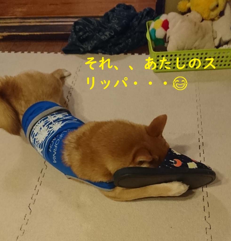 f:id:hanatara:20180828193808j:plain