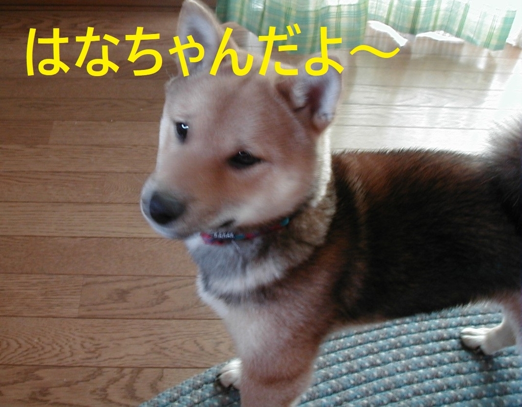 f:id:hanatara:20180830201500j:plain