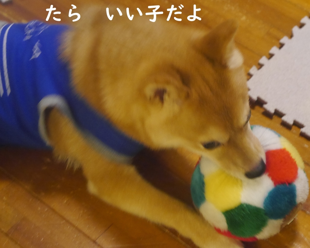 f:id:hanatara:20180830203717j:plain