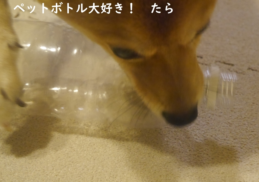 f:id:hanatara:20180830204020j:plain