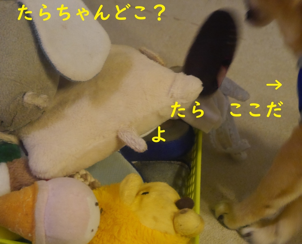 f:id:hanatara:20180830205644j:plain