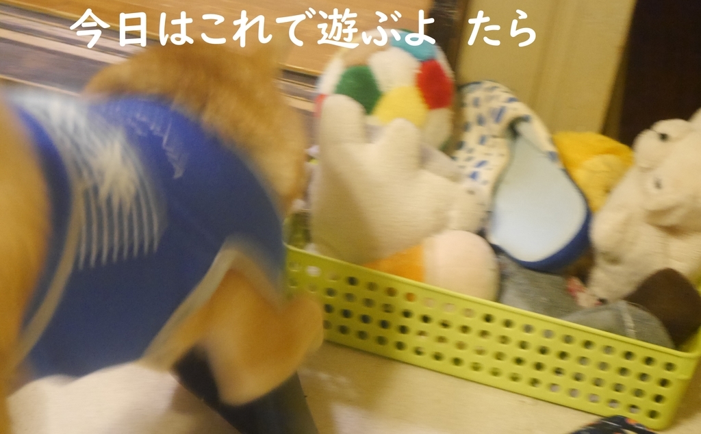 f:id:hanatara:20180831185814j:plain