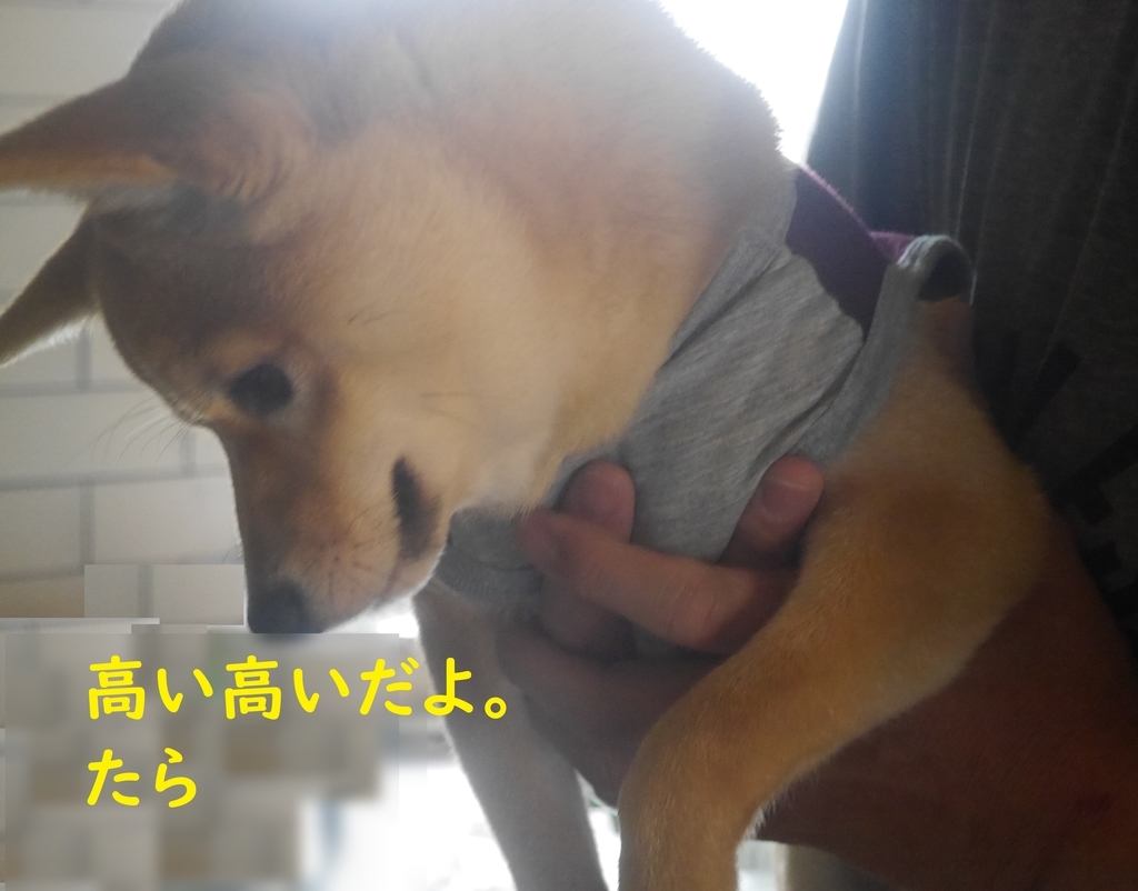 f:id:hanatara:20180901192937j:plain