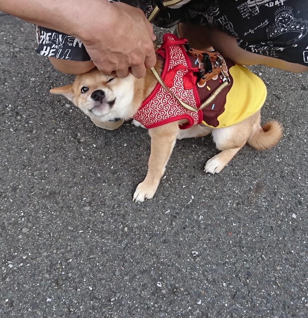 f:id:hanatara:20180908094744j:plain