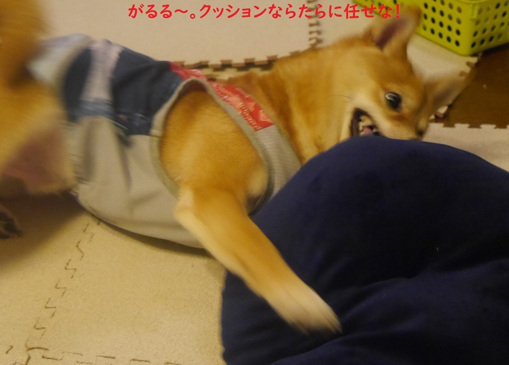 f:id:hanatara:20180912194734j:plain