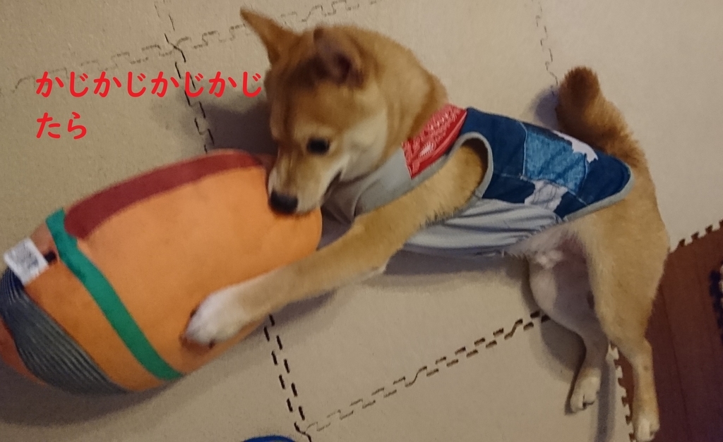 f:id:hanatara:20180912195142j:plain
