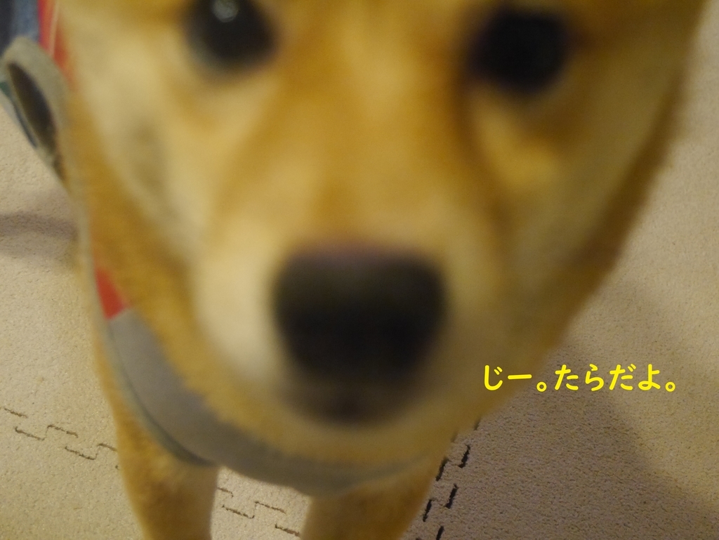 f:id:hanatara:20180913194627j:plain