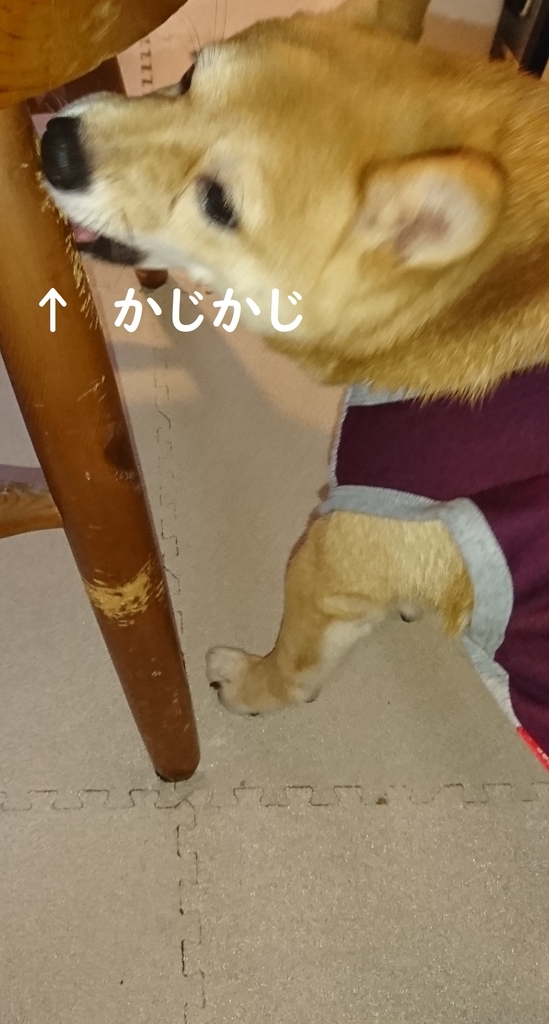 f:id:hanatara:20180915120236j:plain f:id:hanatara:20180915120236j:plain