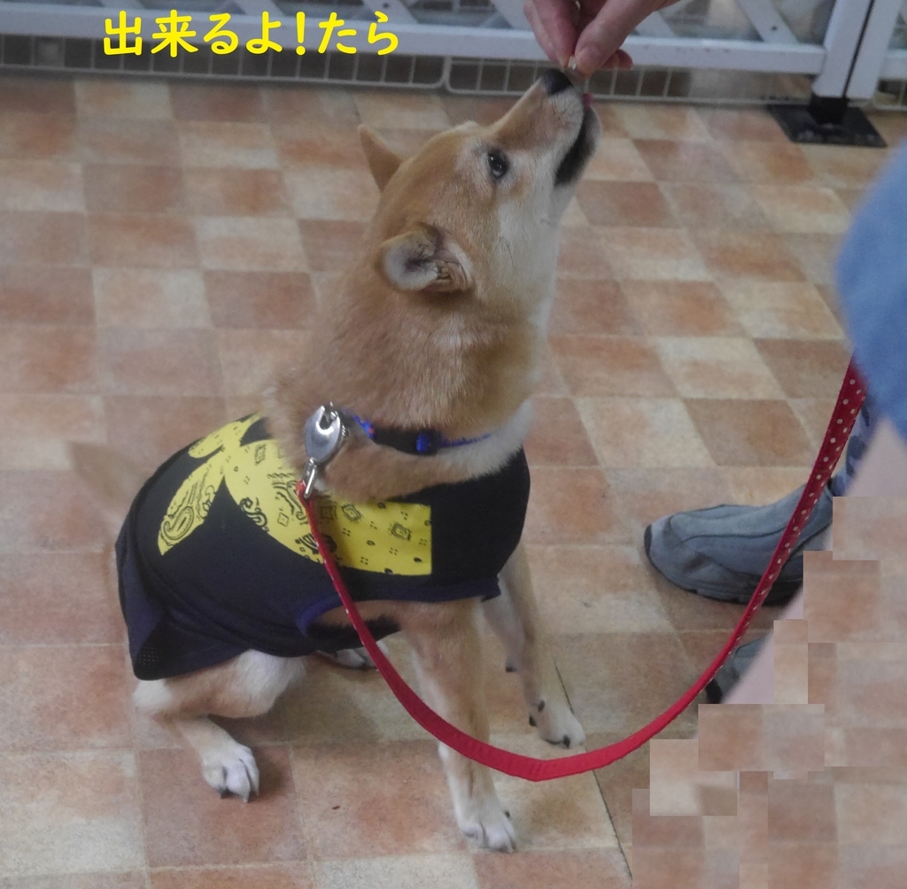 f:id:hanatara:20180917123500j:plain