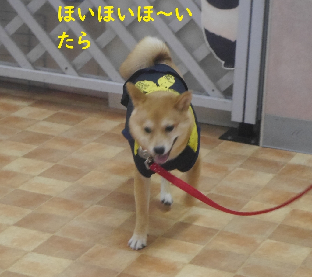 f:id:hanatara:20180917124124j:plain
