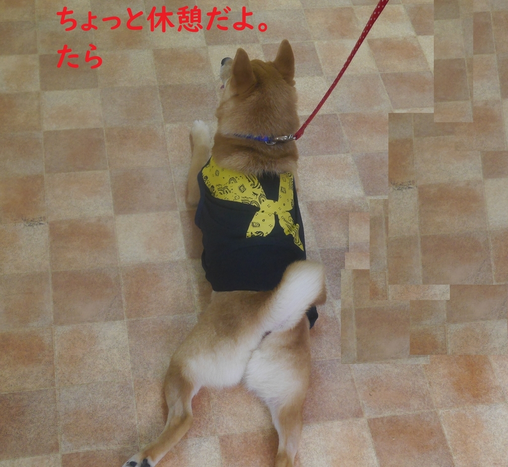 f:id:hanatara:20180917132516j:plain