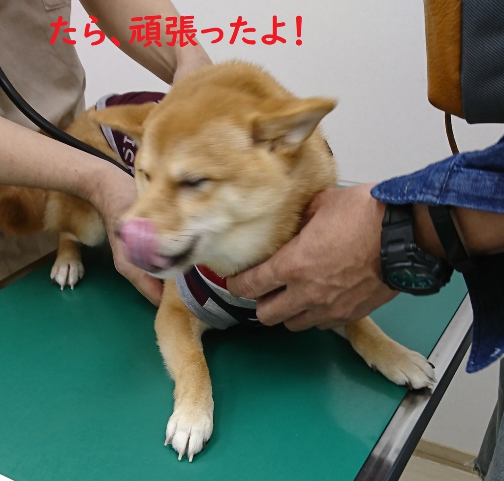 f:id:hanatara:20181020171503j:plain