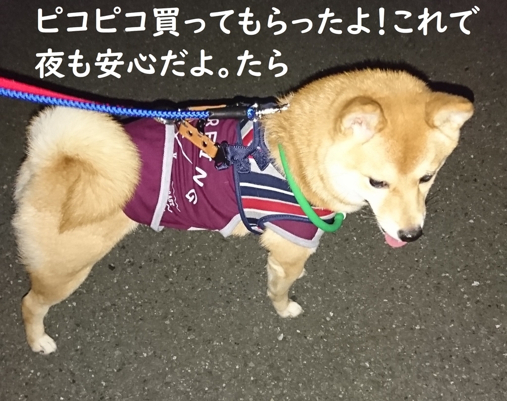 f:id:hanatara:20181030211751j:plain f:id:hanatara:20181030211751j:plain