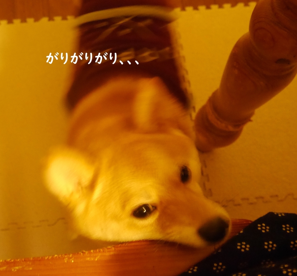 f:id:hanatara:20181031194244j:plain