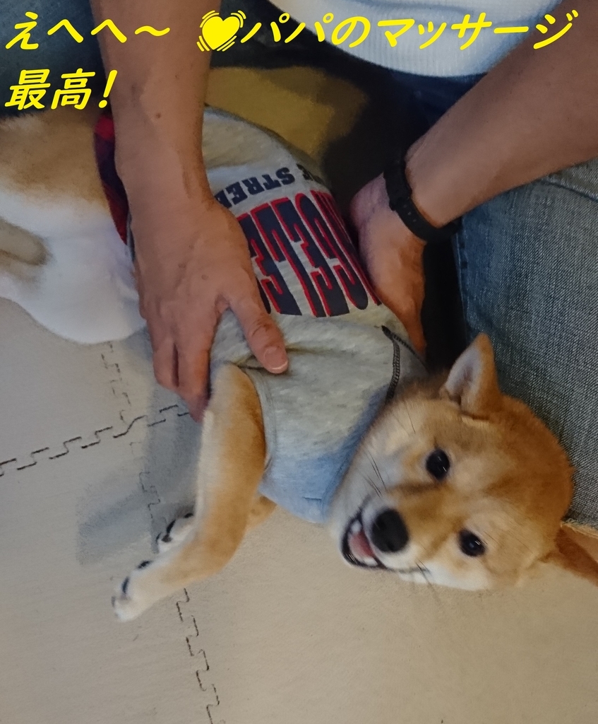 f:id:hanatara:20181111092602j:plain