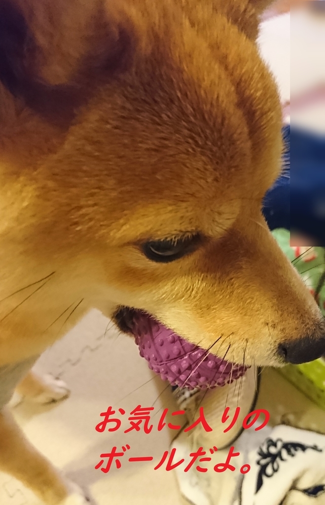 f:id:hanatara:20181117151511j:plain