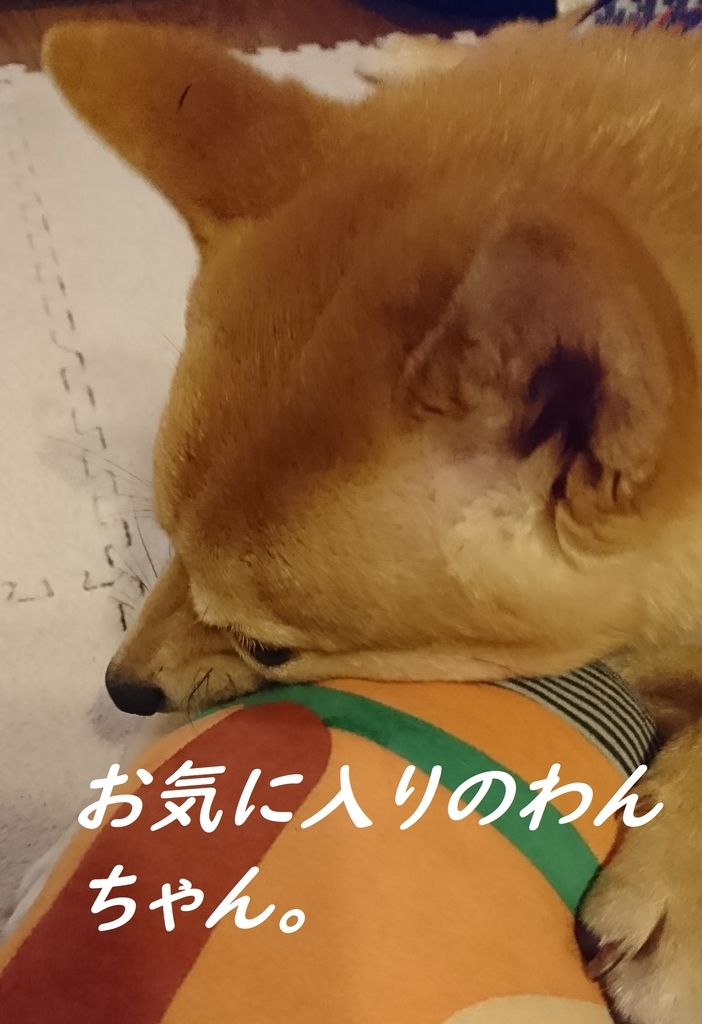 f:id:hanatara:20181117152050j:plain