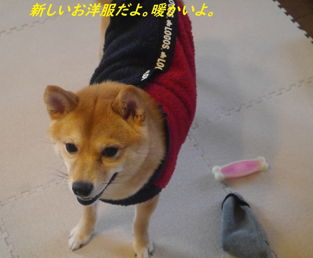 f:id:hanatara:20181118091320j:plain