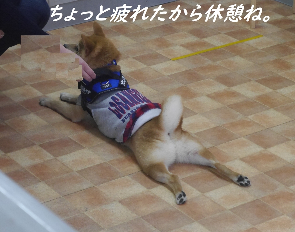 f:id:hanatara:20181128204955j:plain