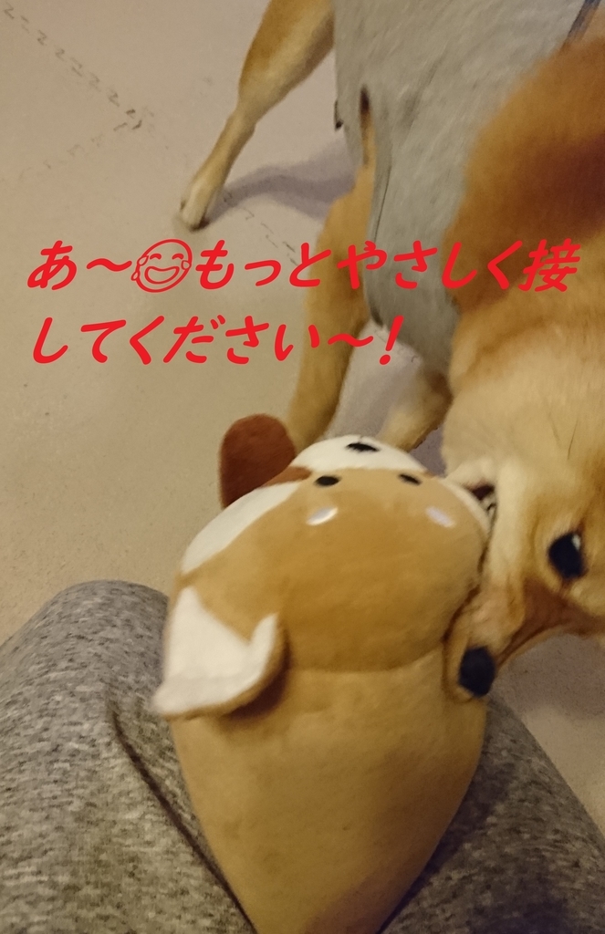 f:id:hanatara:20181202203535j:plain