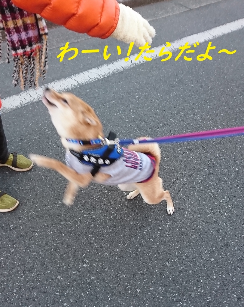 f:id:hanatara:20181230170740j:plain f:id:hanatara:20181230170740j:plain