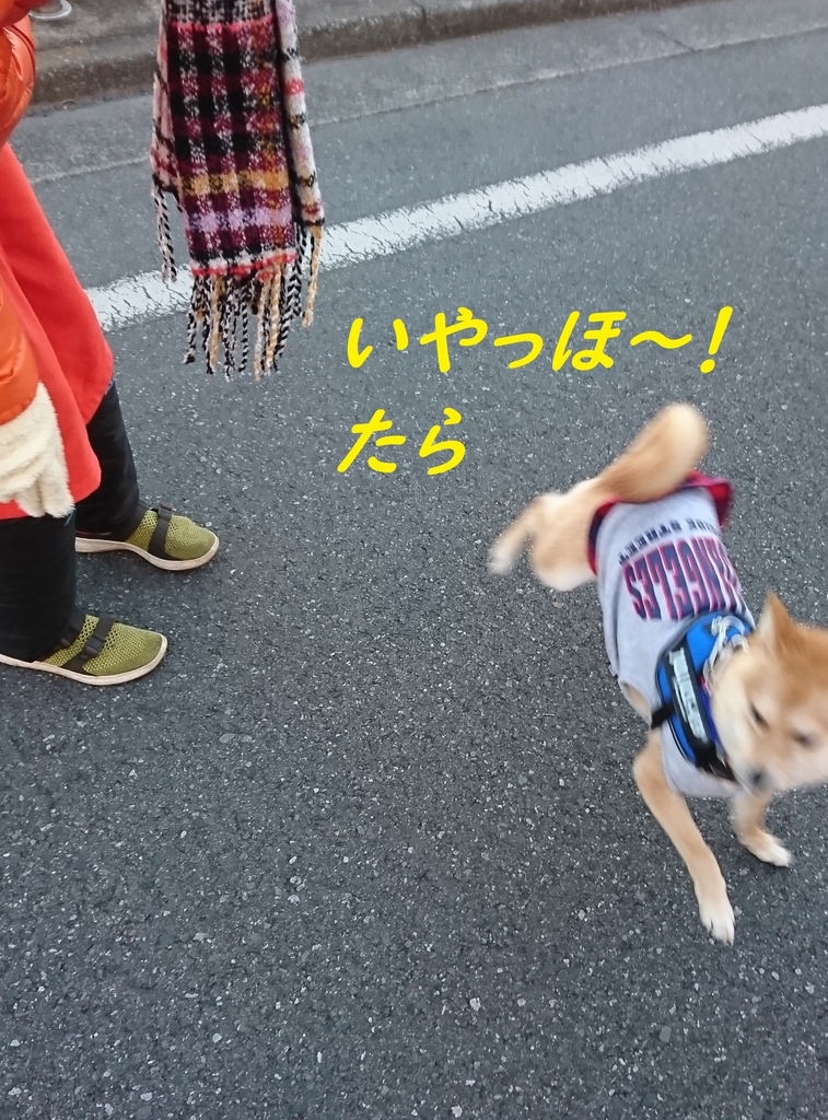 f:id:hanatara:20181230170931j:plain f:id:hanatara:20181230170931j:plain