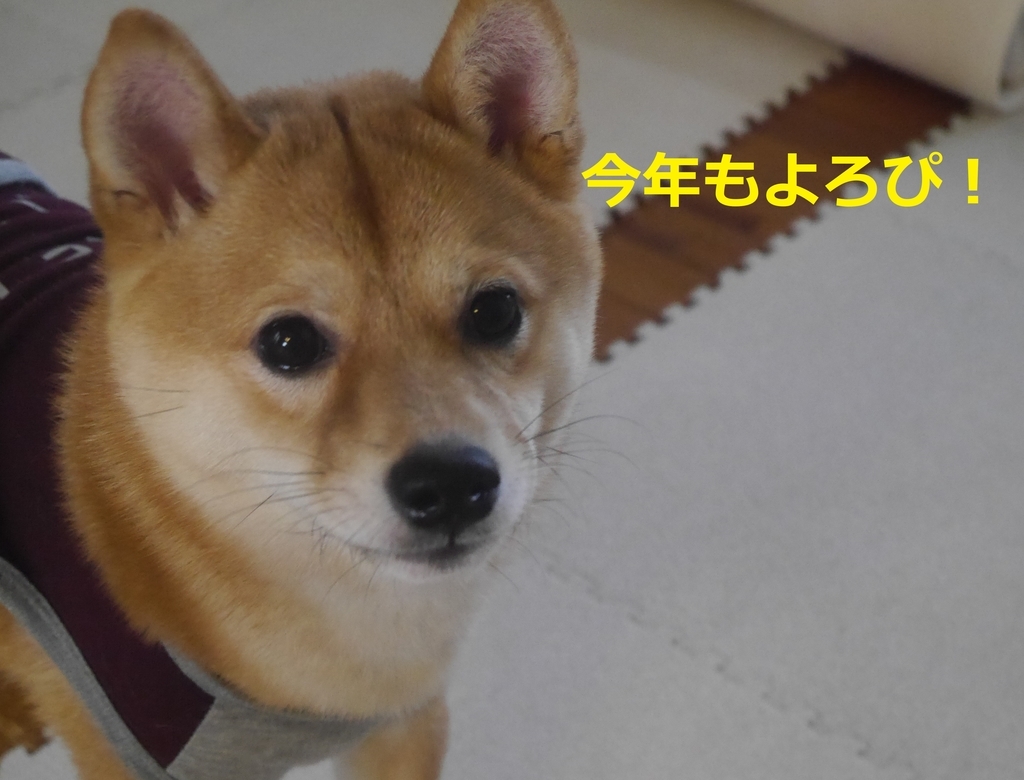 f:id:hanatara:20190106084351j:plain