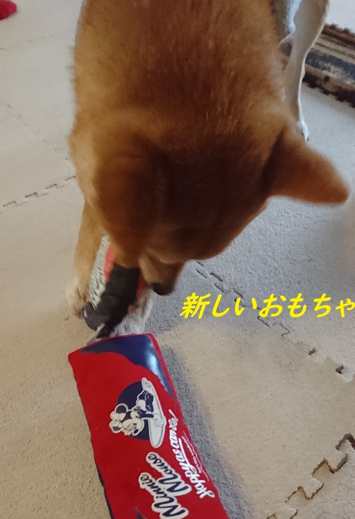 f:id:hanatara:20190114152258j:plain