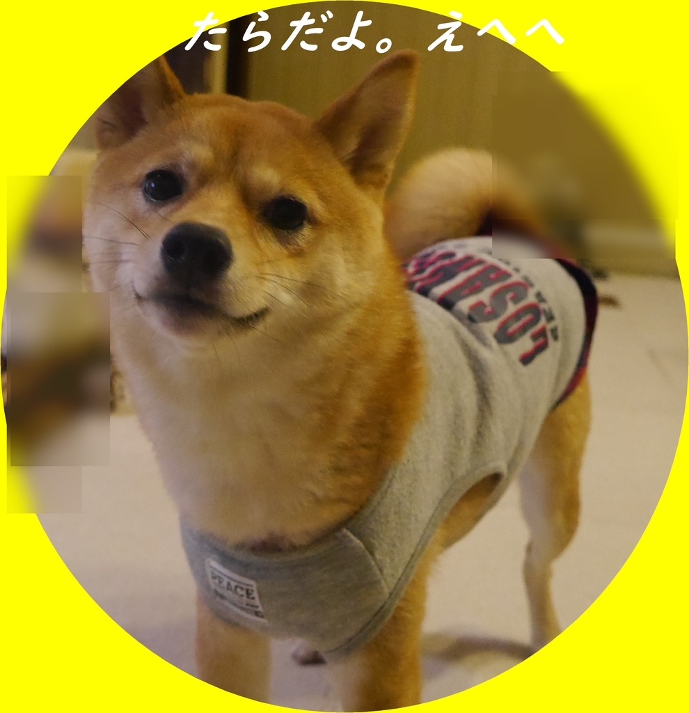 f:id:hanatara:20190201195237j:plain
