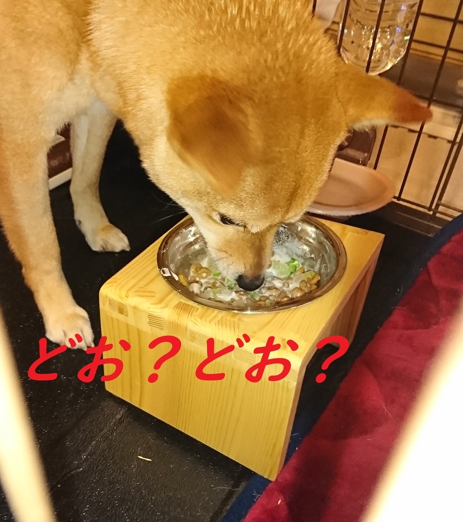 f:id:hanatara:20190203115257j:plain f:id:hanatara:20190203115257j:plain