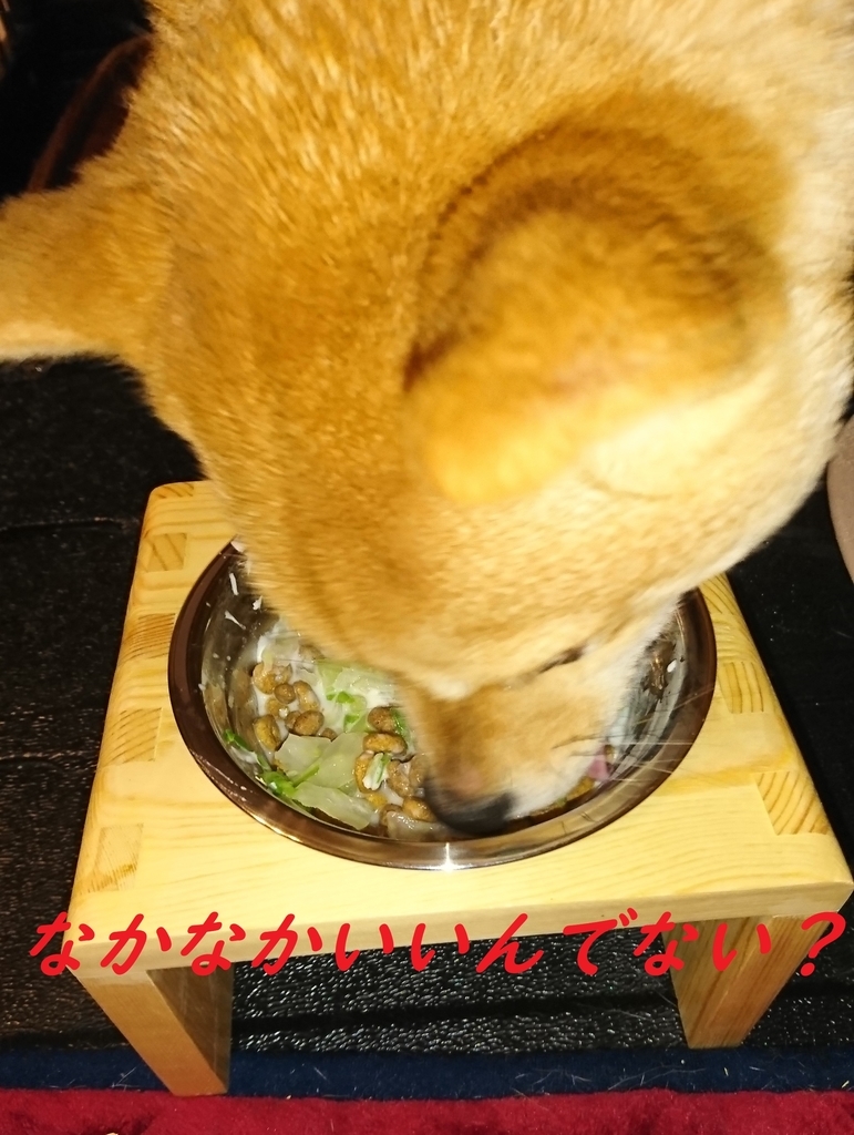 f:id:hanatara:20190203115501j:plain f:id:hanatara:20190203115501j:plain