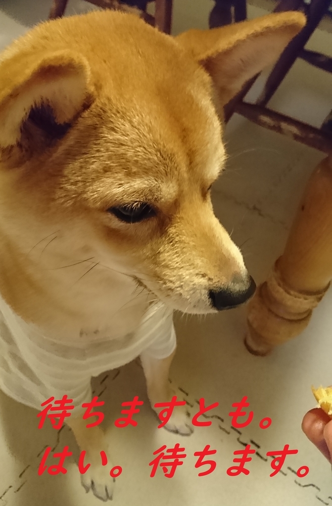 f:id:hanatara:20190220201817j:plain