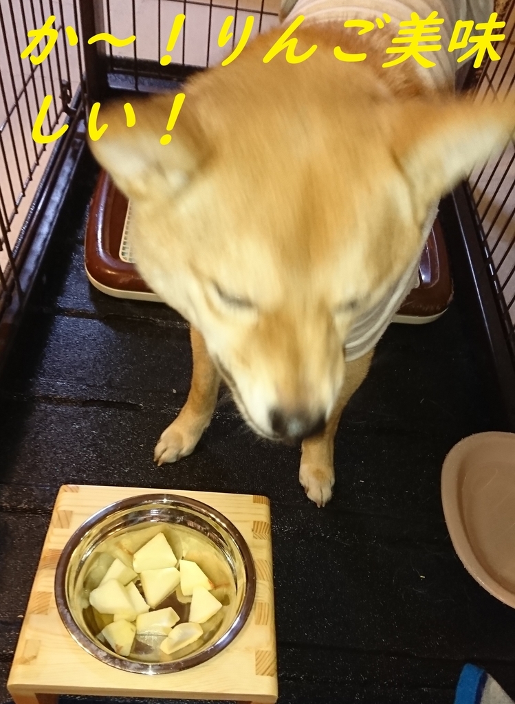 f:id:hanatara:20190220201923j:plain